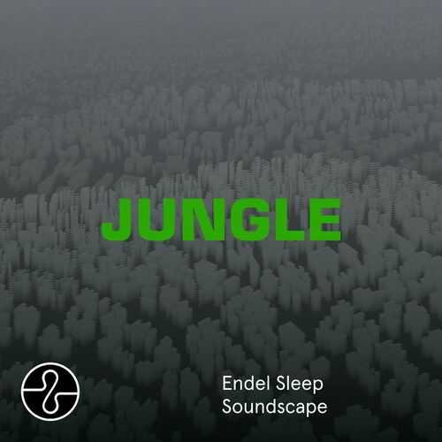 The Blaze (Nouvel album) - JUNGLE (Sleep Soundscape) : chansons et ...