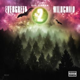 Album cover of Evergreen Wildchild 2