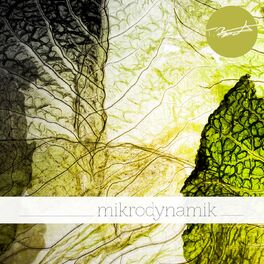Album cover of Mikrodynamik