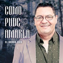 Album cover of Como Pude Amarla