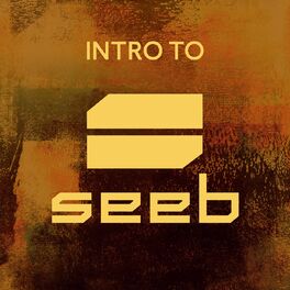 Album cover of Intro To Seeb