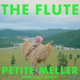Album cover of The Flute (Dom Zilla Remix)