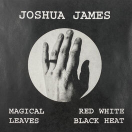 Album cover of Magical Leaves Red White Black Heat