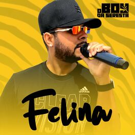 Album cover of Felina (Remix)