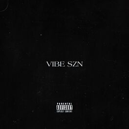 Album cover of VIBE SZN - (compilation project)