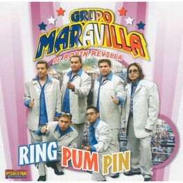 Album cover of Ring Pum Pin