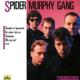 Album cover of Mir San A Bayrische Band