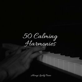 Album cover of 50 Tranquil Piano Tracks for Complete Relaxation and Anxiety Relief
