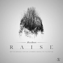 Album cover of Raise