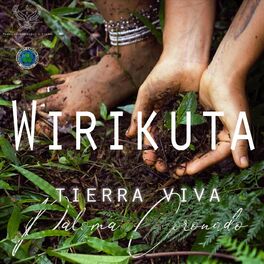 Album cover of Wirikuta