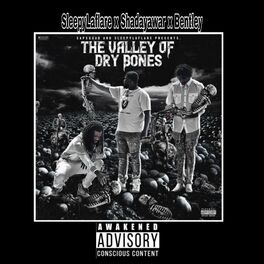 Album cover of The Valley of Dry Bones