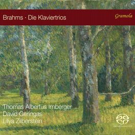 Album cover of Brahms: Piano Trios
