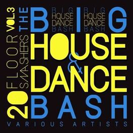 Album cover of The Big House & Dance Bash, Vol. 3 (20 Floor Smashers)