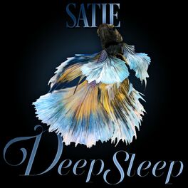 Album cover of Satie Deep Sleep