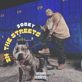 Album cover of In The Streets