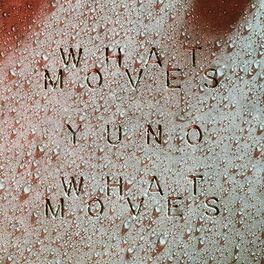 Album cover of What Moves (Yuno Remix)