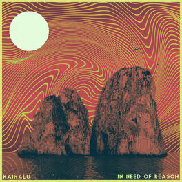 Album cover of In Need of Reason