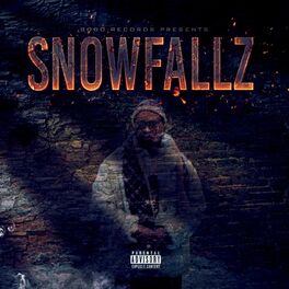 Album cover of Snowfallz