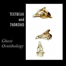 Album cover of Ghost Ornithology