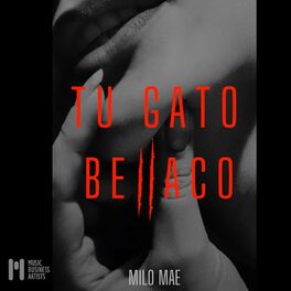 Album cover of Tu Gato Bellaco