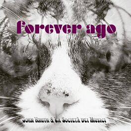 Album cover of Forever Ago