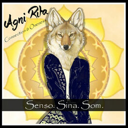 Album cover of Senso. Sina. Som. (Connection & Oneness)