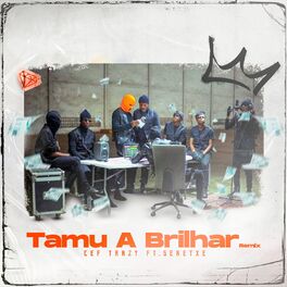 Album cover of Tamu a Brilhar (Remix)