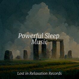Album cover of Powerful Sleep Music