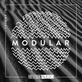 Album cover of Modular, Vol. 17