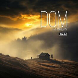 Album cover of Dom
