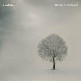 Album cover of Dancer in the Snow