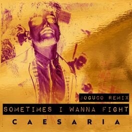 Album cover of Sometimes I Wanna Fight (JOGUCO Remix)