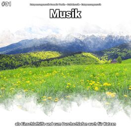 Album cover of #01 Musik als Einschlafhilfe und zum Durchschlafen auch für Katzen