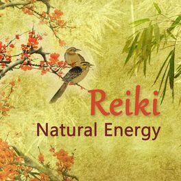 Album cover of Reiki Natural Energy
