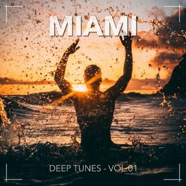 Album cover of Miami, Vol. 01