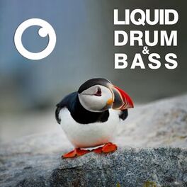 Album cover of Liquid Drum & Bass Sessions #50