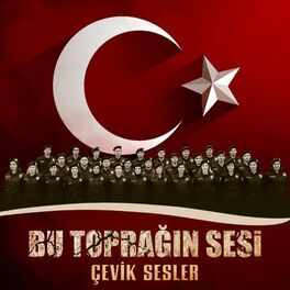 Album cover of Bu Toprağın Sesi (Çevik Sesler)