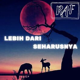Album cover of Lebih Dari Seharusnya