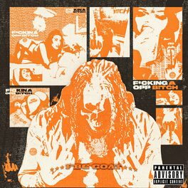 Album cover of Opp Bitch