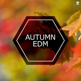 Album cover of Autumn EDM