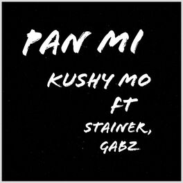 Album cover of Pan Mi (2021 Remastered Version)