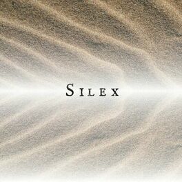Album cover of Silex