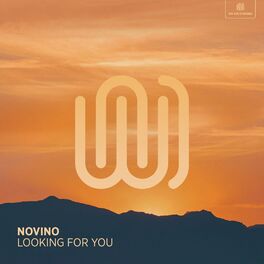 Album cover of Looking for You