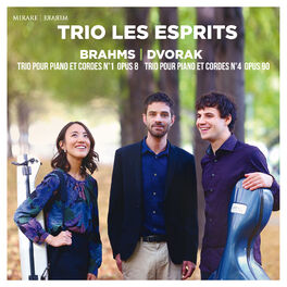 Album cover of Brahms & Dvorak: Piano Trios