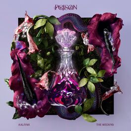 Album cover of Poison (feat. The Weeknd)