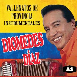 Album cover of Vallenatos de Provincia Instrumentales Diomedes Díaz