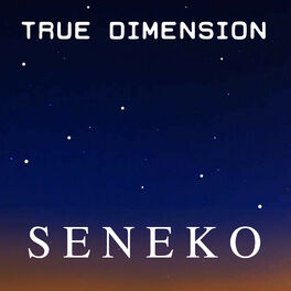 Album cover of True Dimension - EP