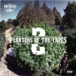 Album cover of Planters Of The Trees 2