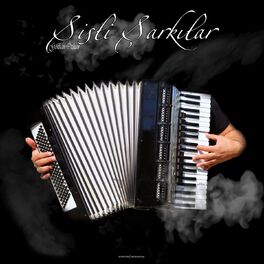 Album cover of Sisli Şarkılar (Enstrumantal)