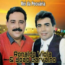 Album cover of Rei da Pecuária
